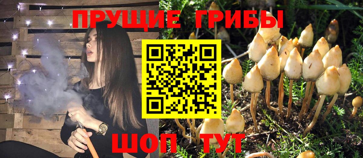 Псилоцибиновые грибы мухоморы Дзержинск
