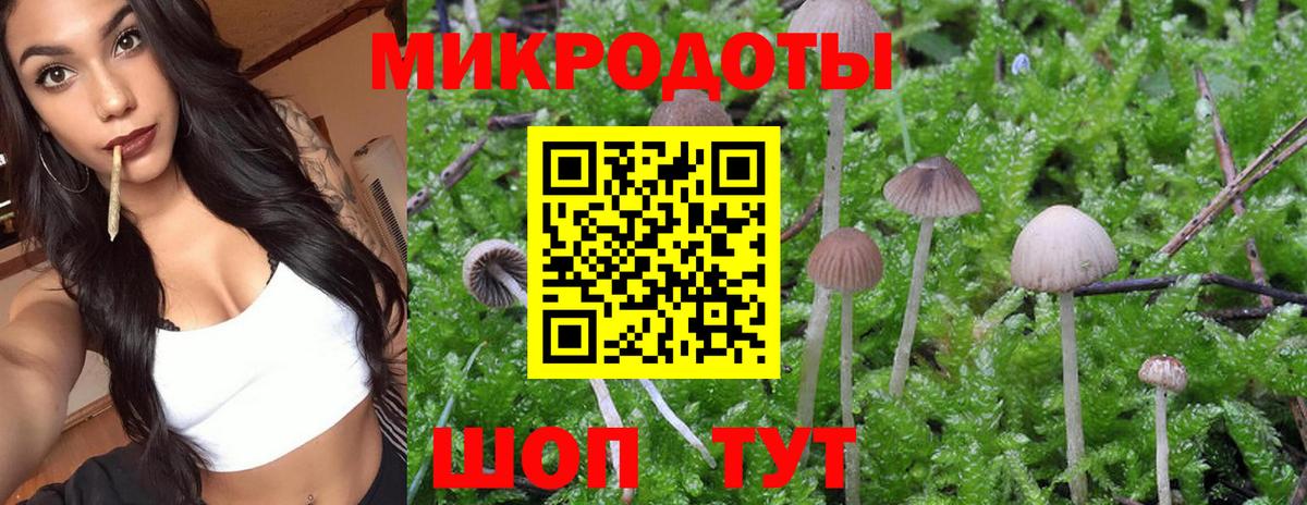 Галлюциногенные грибы Magic Shrooms  Вход с VPN  Дзержинск 